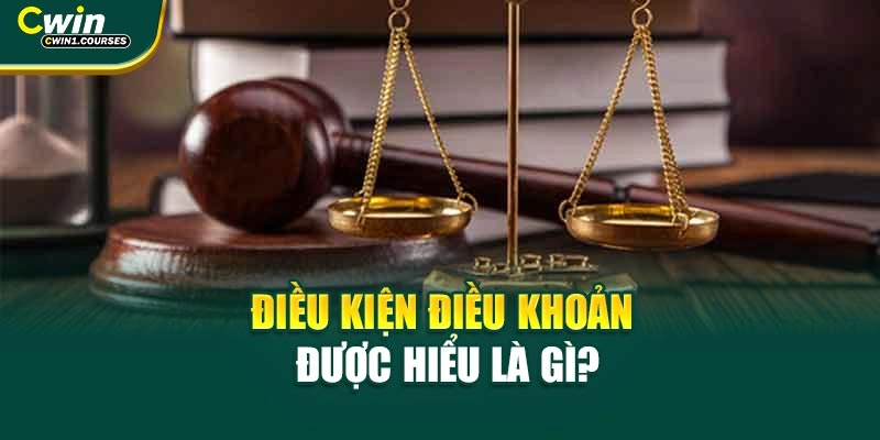 Điều kiện điều khoản được hiểu là gì?