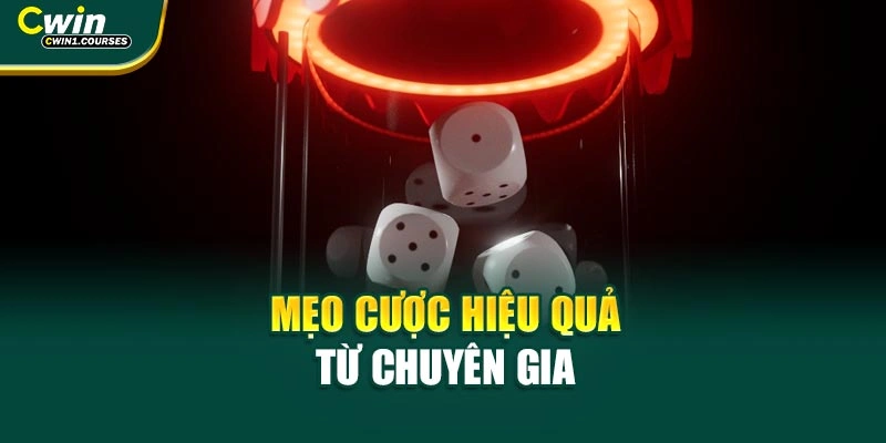  Mẹo cược hiệu quả từ chuyên gia