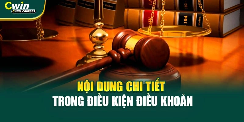 Nội dung chi tiết trong điều kiện điều khoản