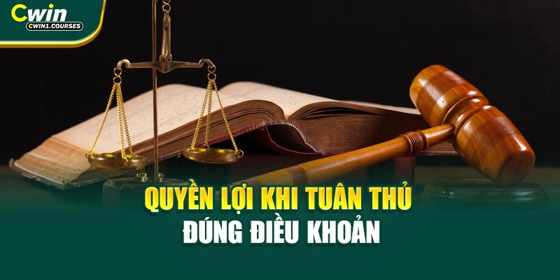 Quyền lợi khi tuân thủ đúng điều khoản