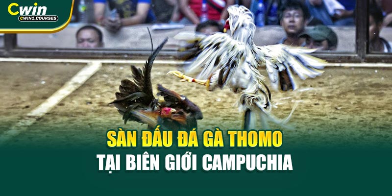 Sàn đấu đá gà Thomo tại biên giới Campuchia